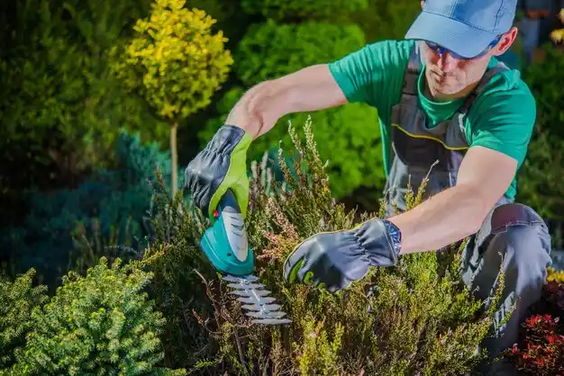 landscaping services Betsy Layne